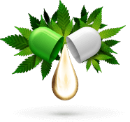 greenrush app clone GreenRush App Clone - Build An Amazon For Cannabis Delivery
