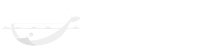 zoom clone Zoom Clone, Zoom Clone Script | Cloud Meeting Software zoom clone Zoom Clone, Zoom Clone Script | Cloud Meeting Software