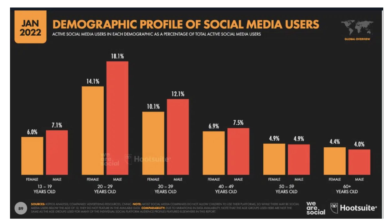 Social media development challenges - demographic profile